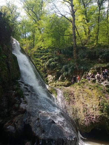 عکس تفرجگاه آبشار جنگل گلستان