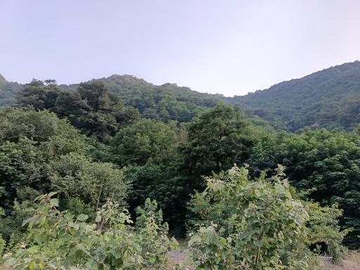 عکس تفرجگاه آبشار جنگل گلستان