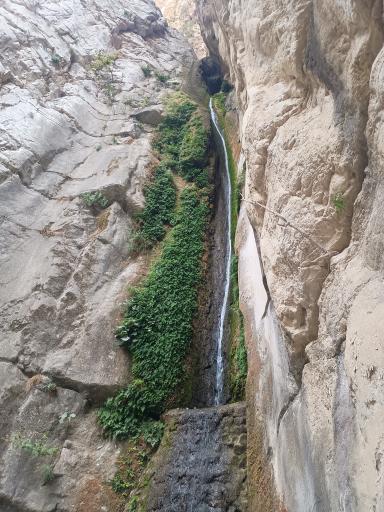 عکس تفرجگاه آبشار جنگل گلستان