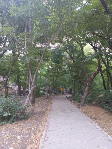 عکس تفرجگاه آبشار جنگل گلستان