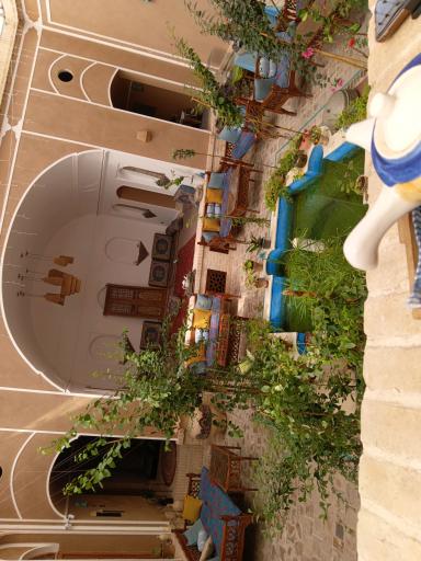 عکس کافه بومگردی آنیژ
