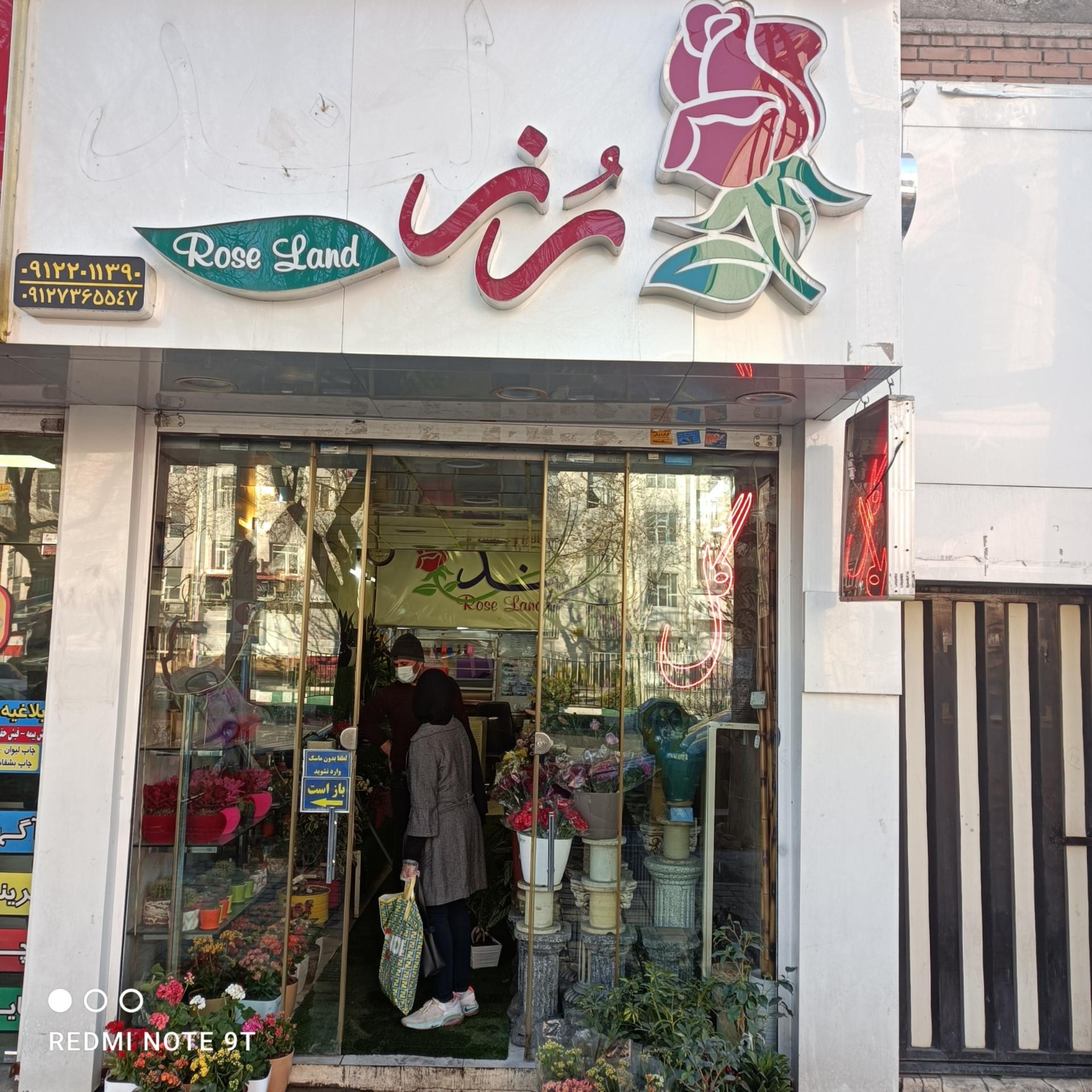 عکس گل فروشی رز