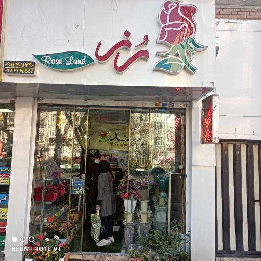 عکس گل فروشی رز