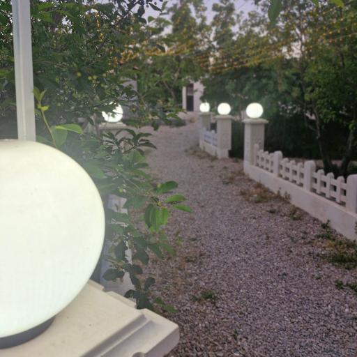 عکس کافه باغ شاهان