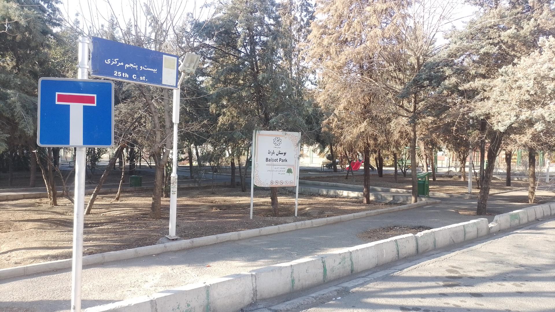 عکس بوستان بلوط