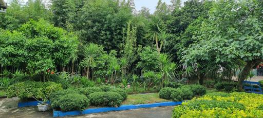 عکس کارخانه چایسازی شهدای کومله 