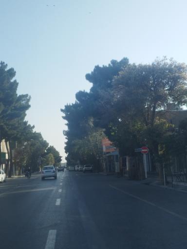 عکس تربت حیدریه