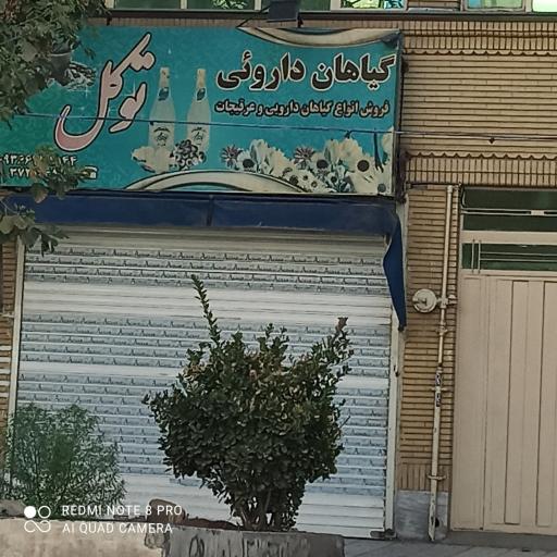 عکس گیاهان دارویی توکل