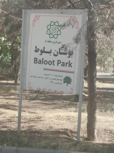 عکس بوستان بلوط