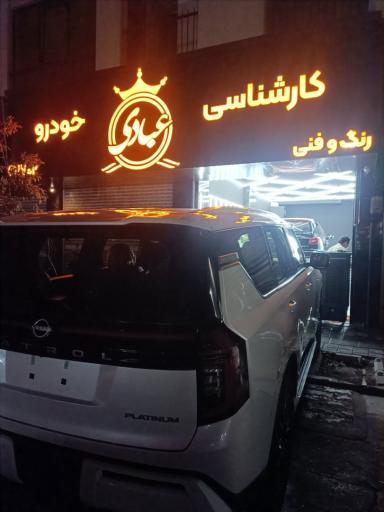 عکس کارشناسی رنگ بدنه و فنی