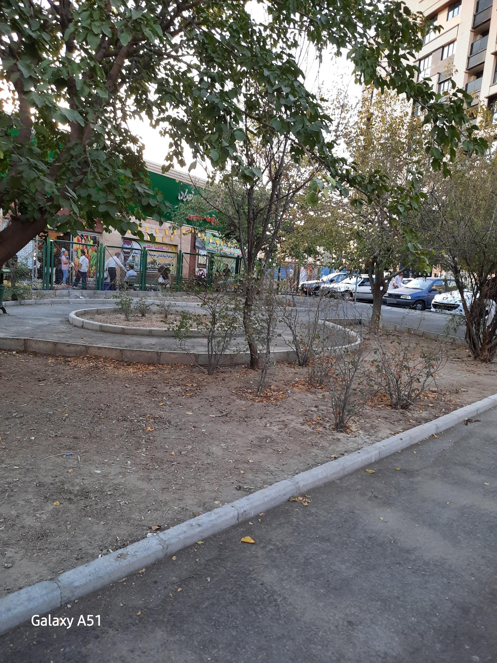 عکس بوستان بلوط