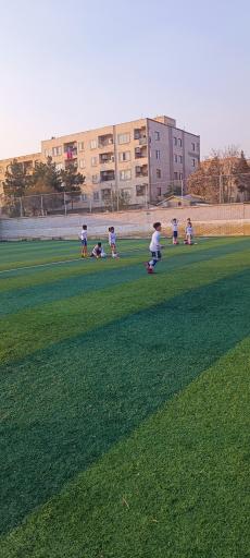 عکس زمین چمن امام حسین 