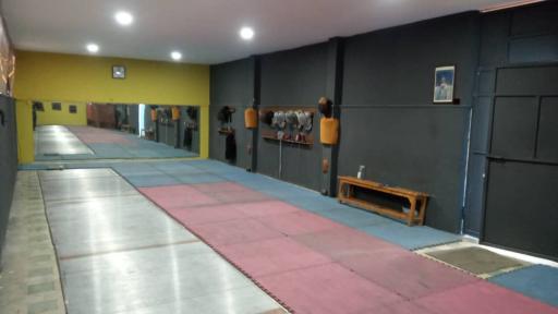 عکس خانه شمشیر بازی شیراز