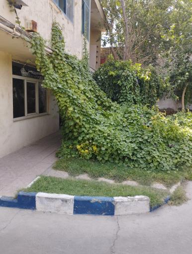 عکس گازهای طبی و صنعتی آذر گاز