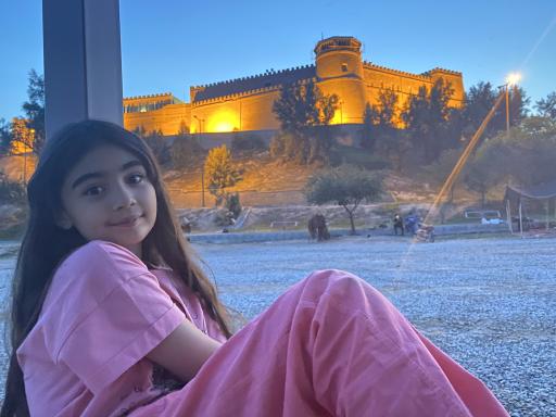 عکس قلعه تاریخی شوش