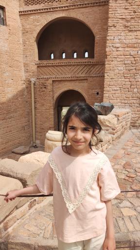 عکس قلعه تاریخی شوش