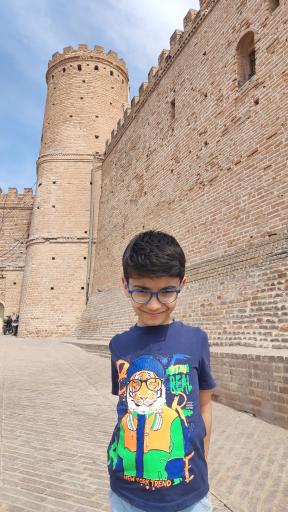 عکس قلعه تاریخی شوش