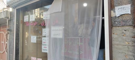 عکس نان بربری خوشه طلا