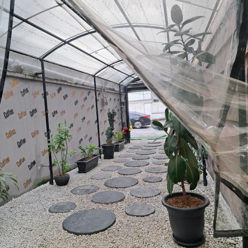 عکس کافه اوگر