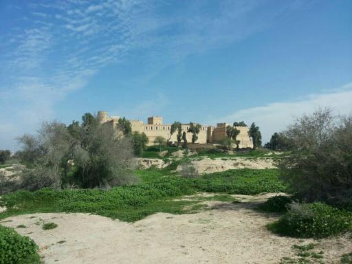 عکس قلعه تاریخی شوش