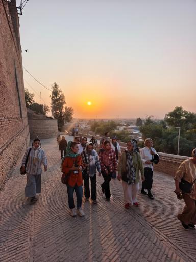 عکس قلعه تاریخی شوش