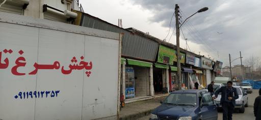 عکس مرغ فروشی وپخش مرغ سبلان سبز