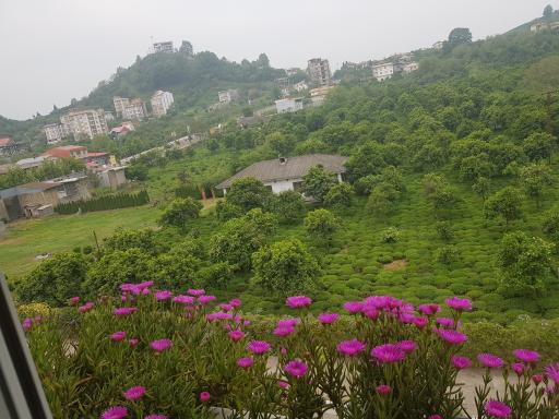 عکس پرشکوه