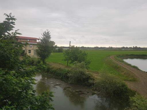 عکس پرشکوه