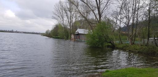عکس پرشکوه