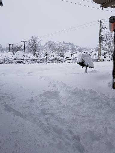 عکس پرشکوه