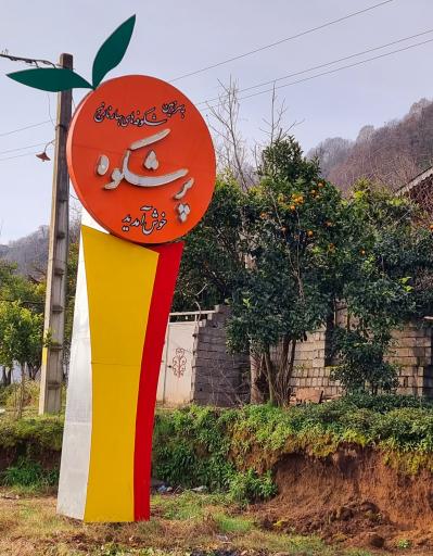 عکس پرشکوه