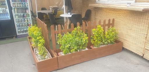 عکس کافه صبحانه حمید تیستی