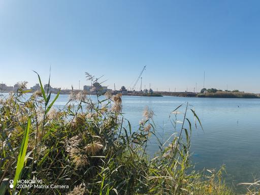 عکس دلتای رود ملی کارون