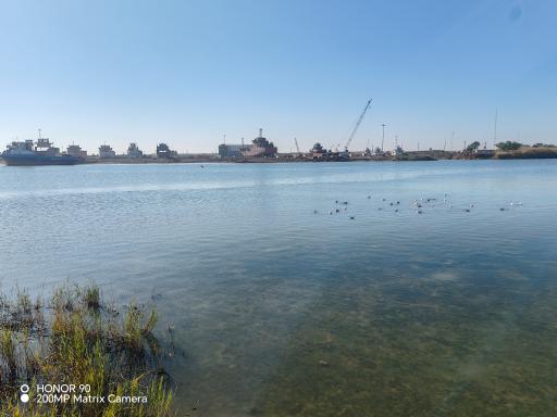 عکس دلتای رود ملی کارون