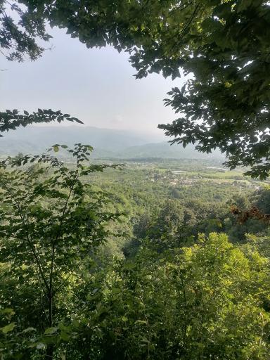 عکس پرشکوه