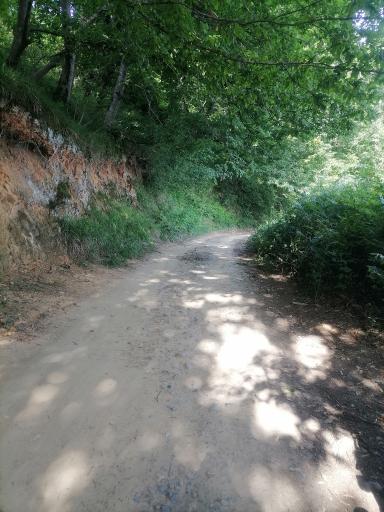عکس پرشکوه