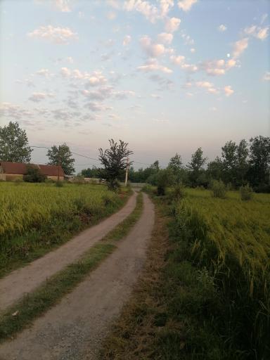 عکس پرشکوه