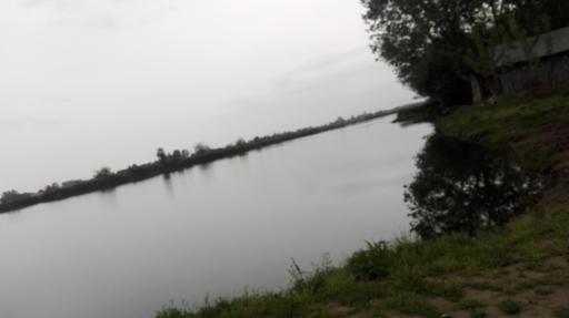 عکس پرشکوه
