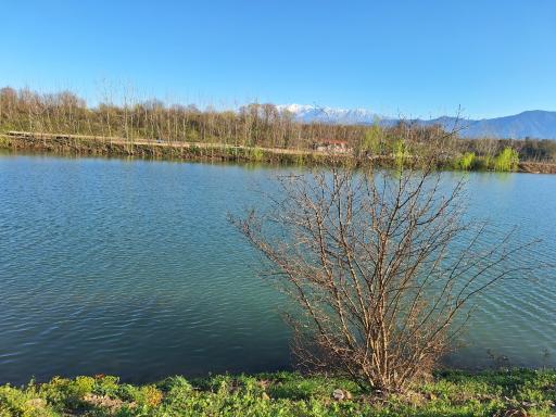 عکس پرشکوه