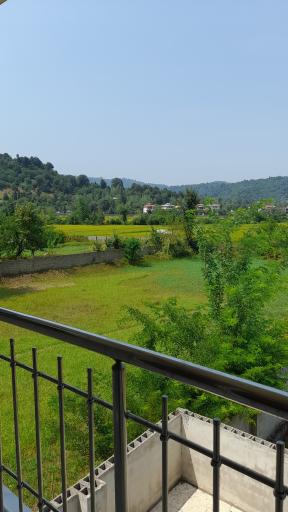 عکس کافه رستوران بام سبز 