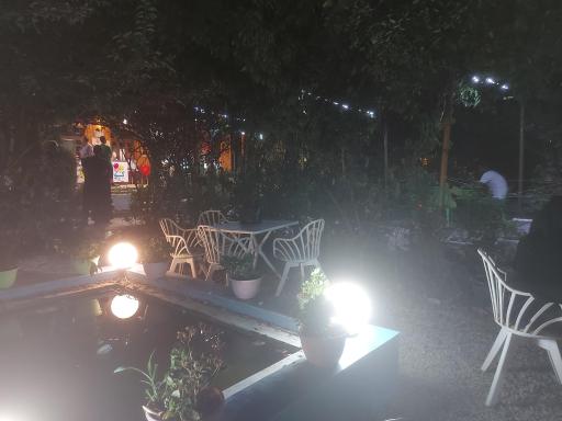 عکس کافه کوچه باغ