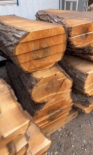 عکس بازرگانی چوب احمدی