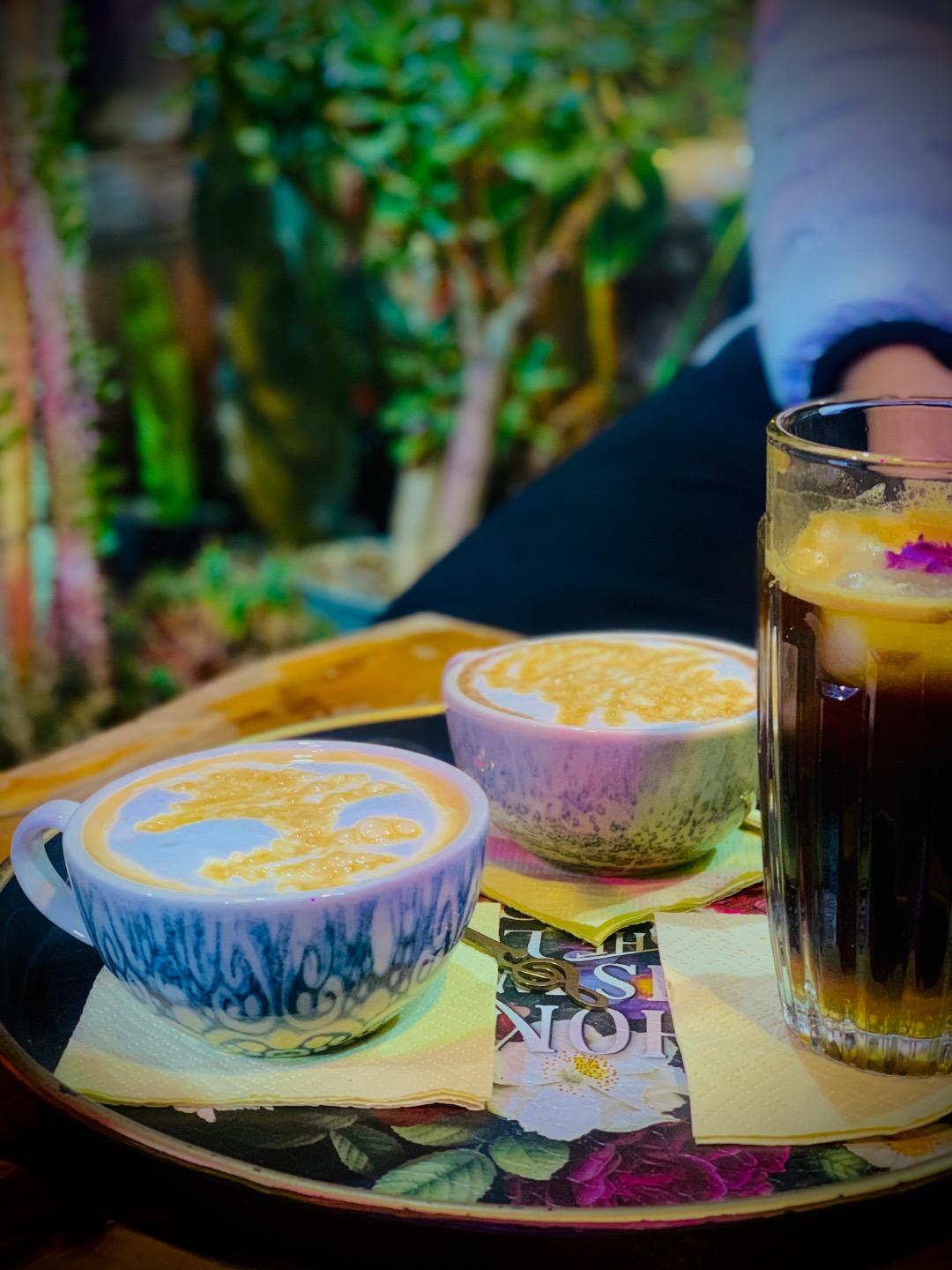 عکس کافه گلخانه نوئل