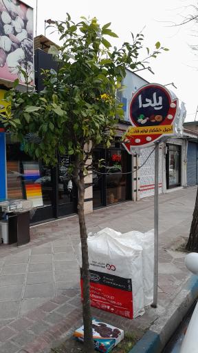 عکس آجیل و خشکبار یلدا