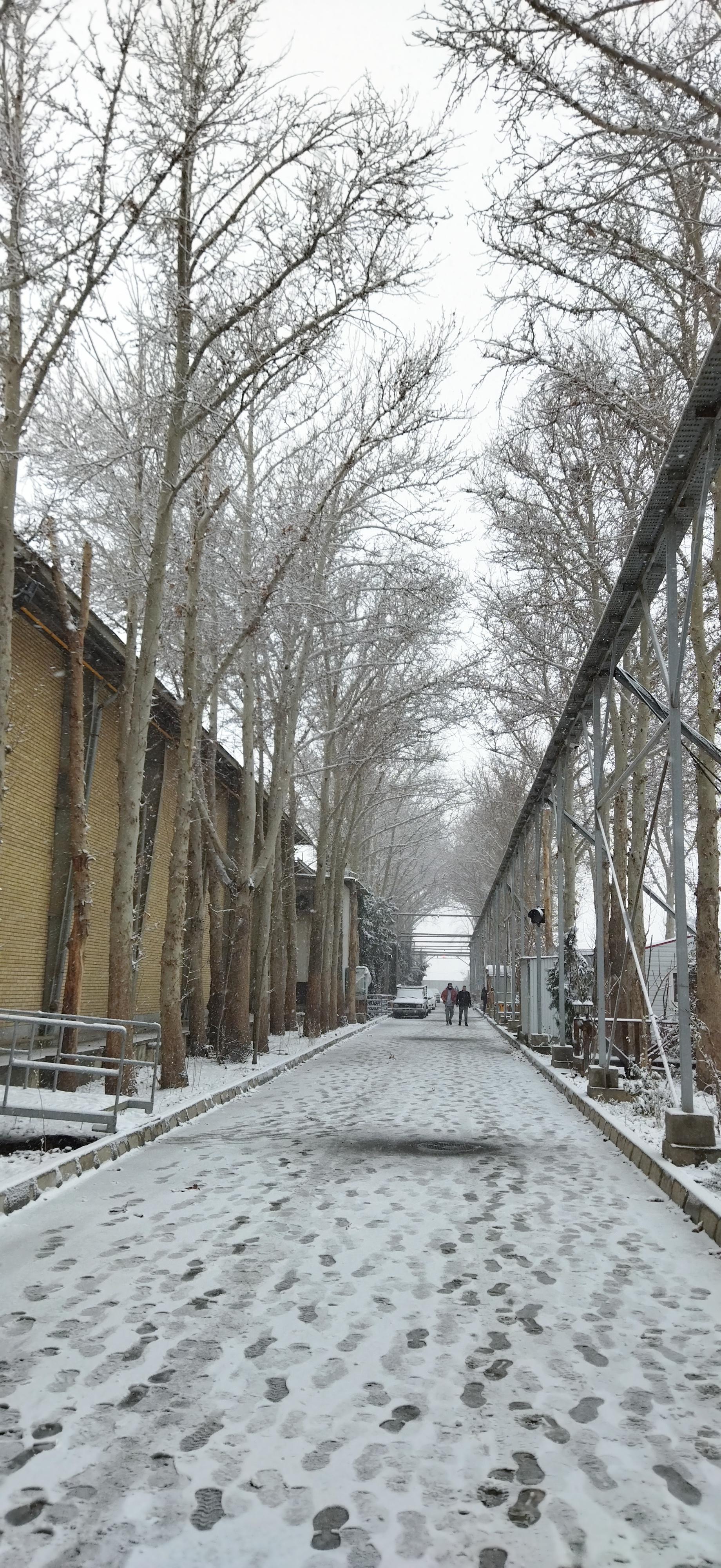 عکس شرکت خوشگوار تهران