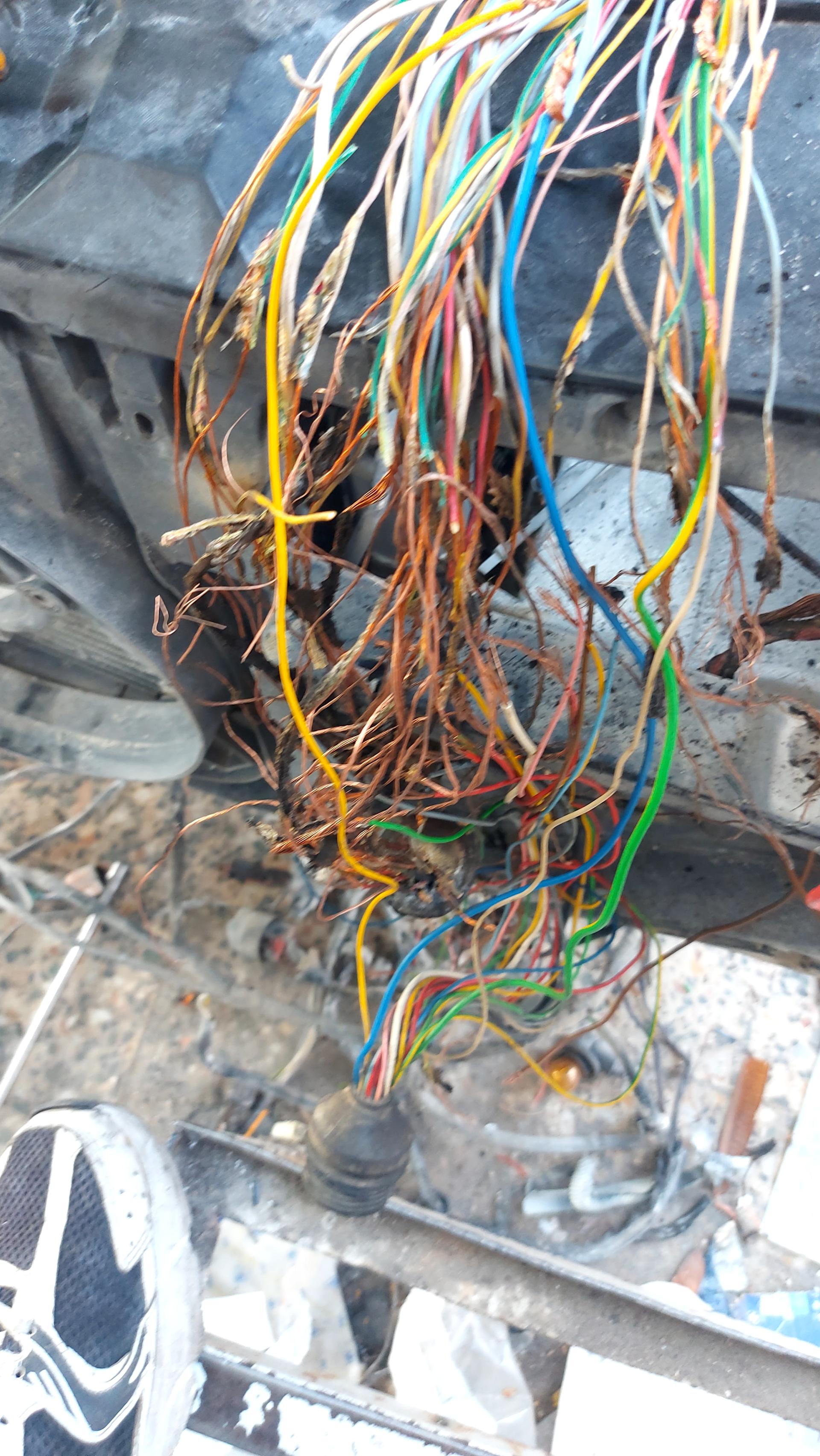 عکس خدمات برق اتومبیل امین