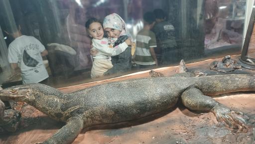 عکس باغ خزندگان