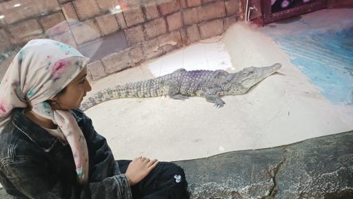 عکس باغ خزندگان