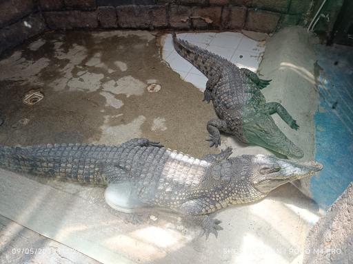 عکس باغ خزندگان