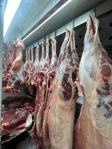 عکس سوپرگوشت اسکندری